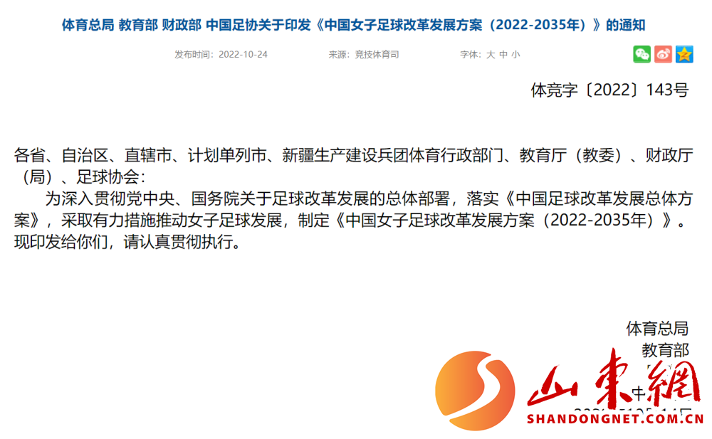 中国将申办2031年女足世界杯-第2张图片-ZBLOG