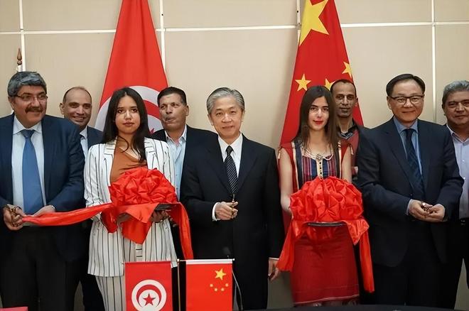 “若突尼斯觉醒，中国会施以援手”-第2张图片-ZBLOG