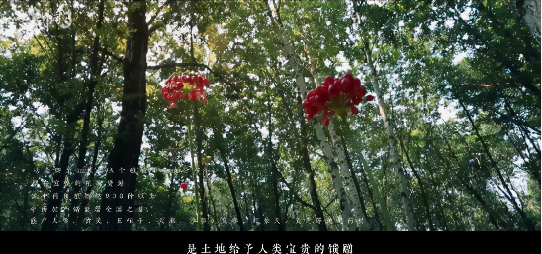 年营收20多亿 却拍起了长白山广告 剑网3这波在搞什么？-第6张图片-ZBLOG