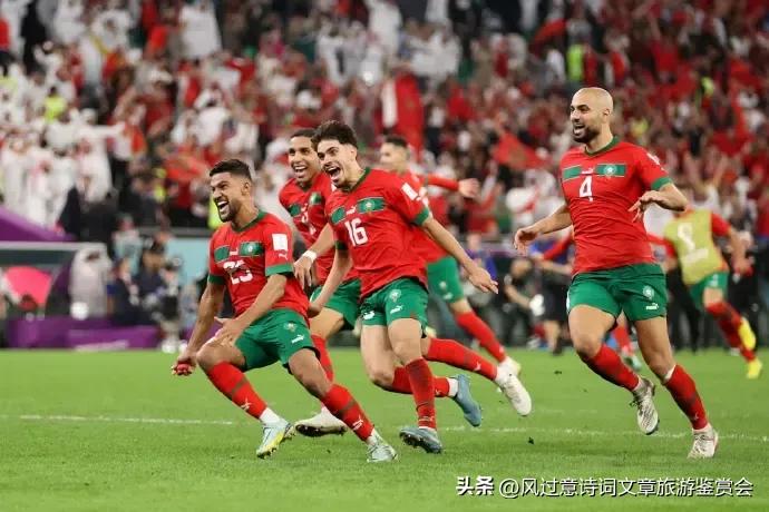 卡塔尔世界杯往届介绍和2022年世界杯观后感想如何-第11张图片-ZBLOG