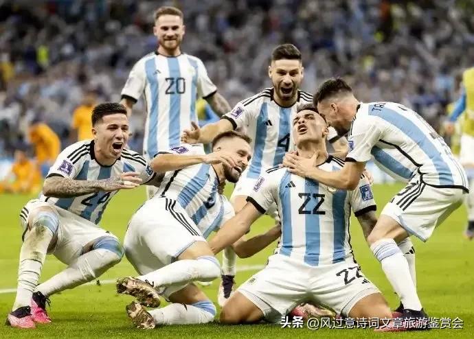卡塔尔世界杯往届介绍和2022年世界杯观后感想如何-第12张图片-ZBLOG