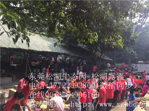 东莞大岭山拓展训练+农家乐野炊+康体休闲一日游-第5张图片-ZBLOG