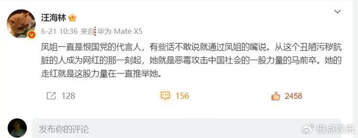 汪海林炮轰凤姐：一直都是恨国党的代言人、恶毒攻击中国的马前卒