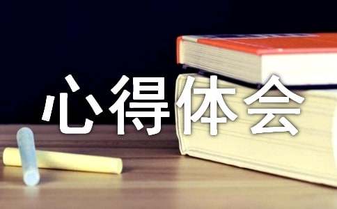 有关游戏的心得体会-第1张图片-ZBLOG