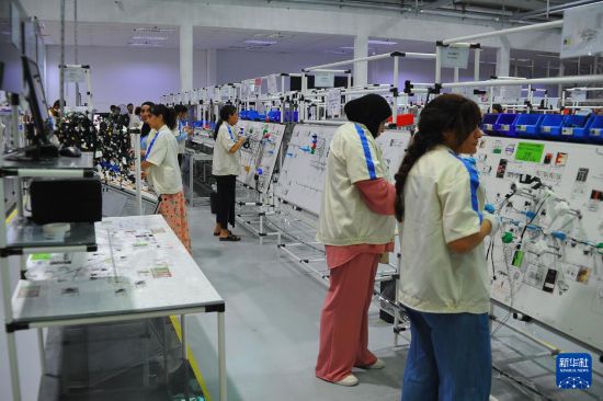 突尼斯工业部长：希望与中国加强汽车行业合作-第2张图片-ZBLOG